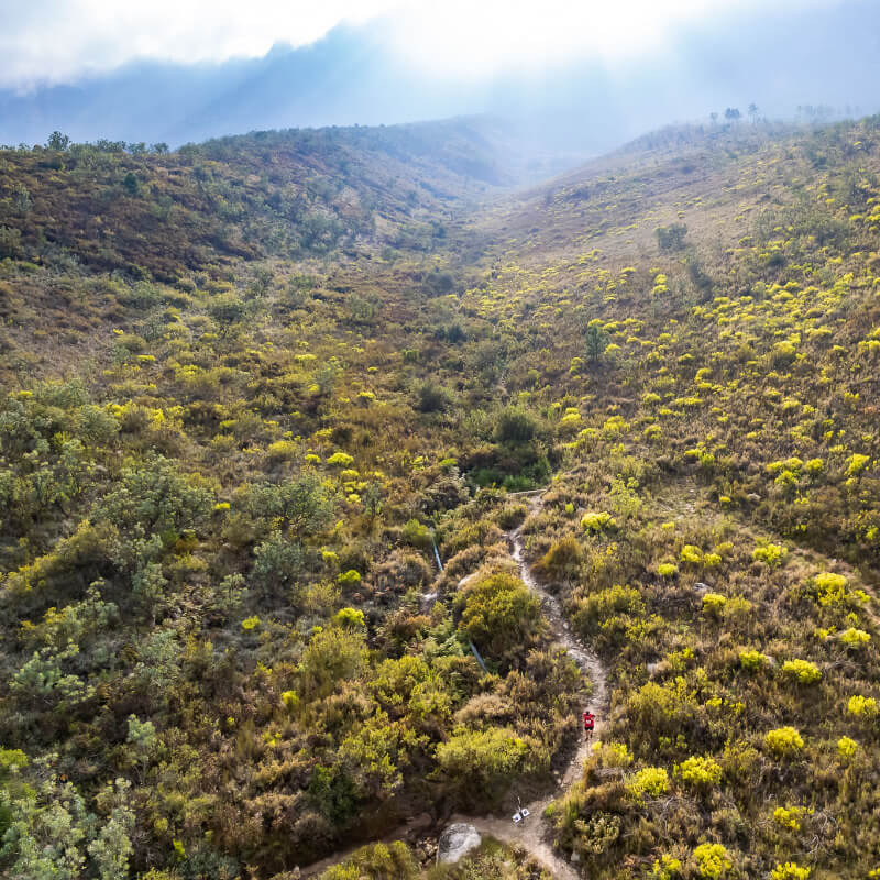 Hiking
