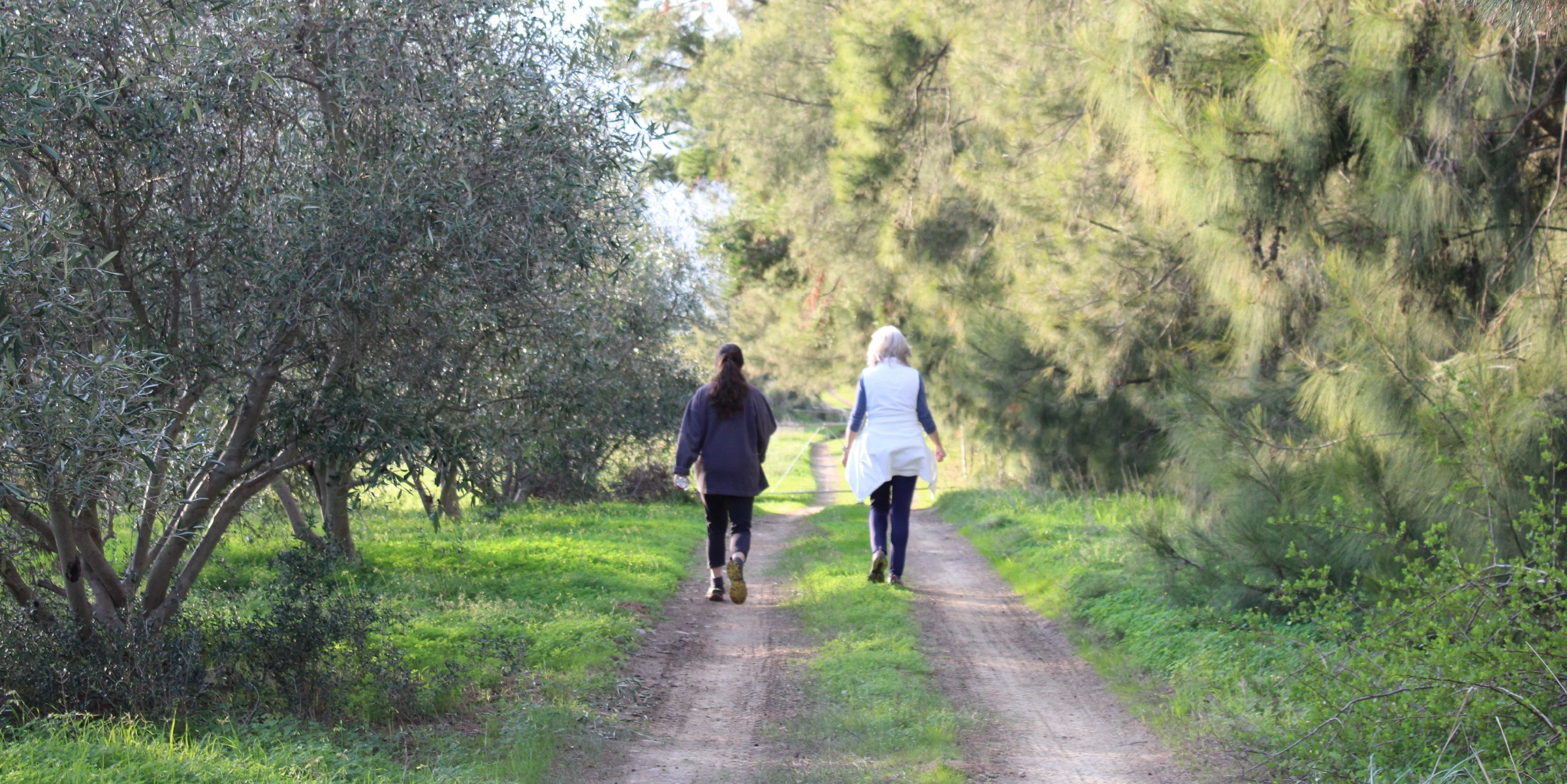 duikersdrift parkrun olives