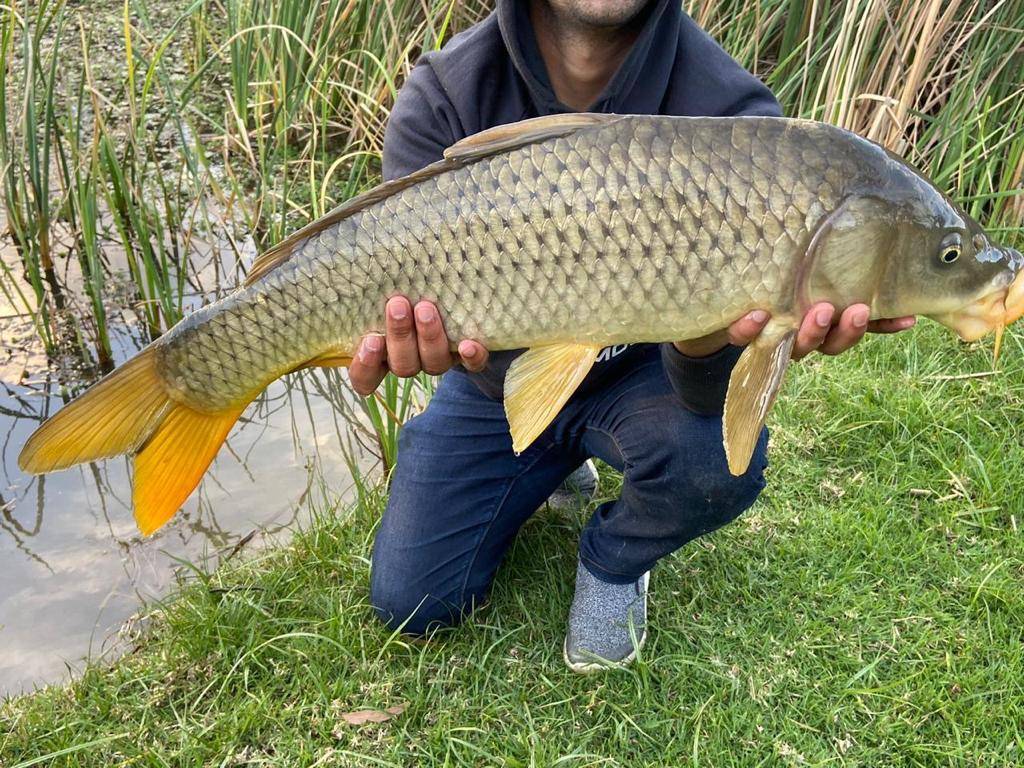kloofzicht fishing