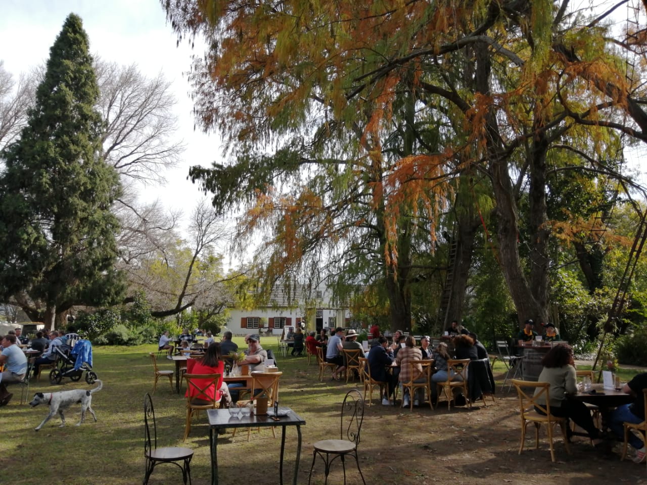 montpellier wine tasting